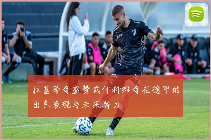 拉基蒂奇盛赞武什科维奇在德甲的出色表现与未来潜力